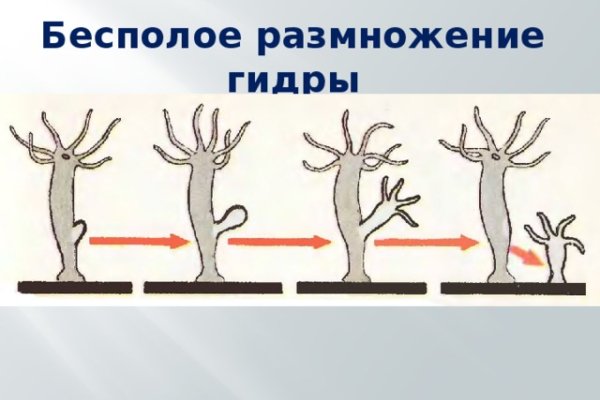 Кракен даркмаркет плейс официальный сайт